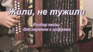 Жили, не тужили. (023 гармонь с цифрами)