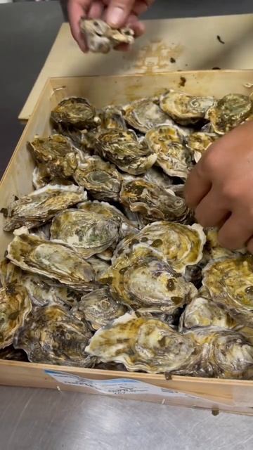TSARSKAYA OYSTER From Paris смотреть онлайн