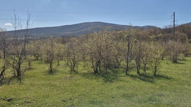 1000067584.mp4 смотреть онлайн