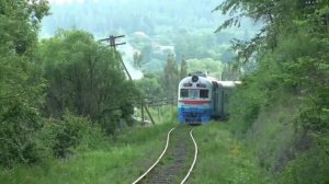 Дизель поезд д1