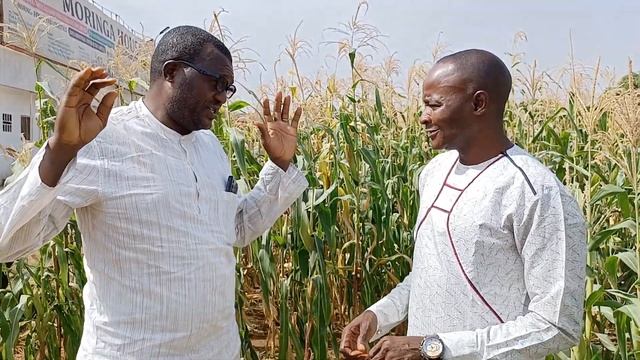 RESEARCH TO END UNEMPLOYMENT, POVERTY, AND HEALTH CHALLENGES смотреть онлайн