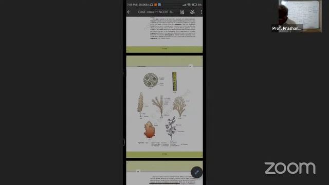 27 OCT 21 XI ENTRANCE BIO KINGDOM PLANTAE RK