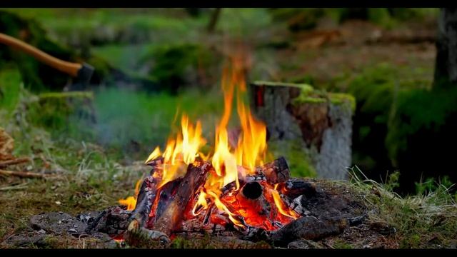Лесной костер у небольшого ручья. Расслабляющие звуки природы смотреть онлайн