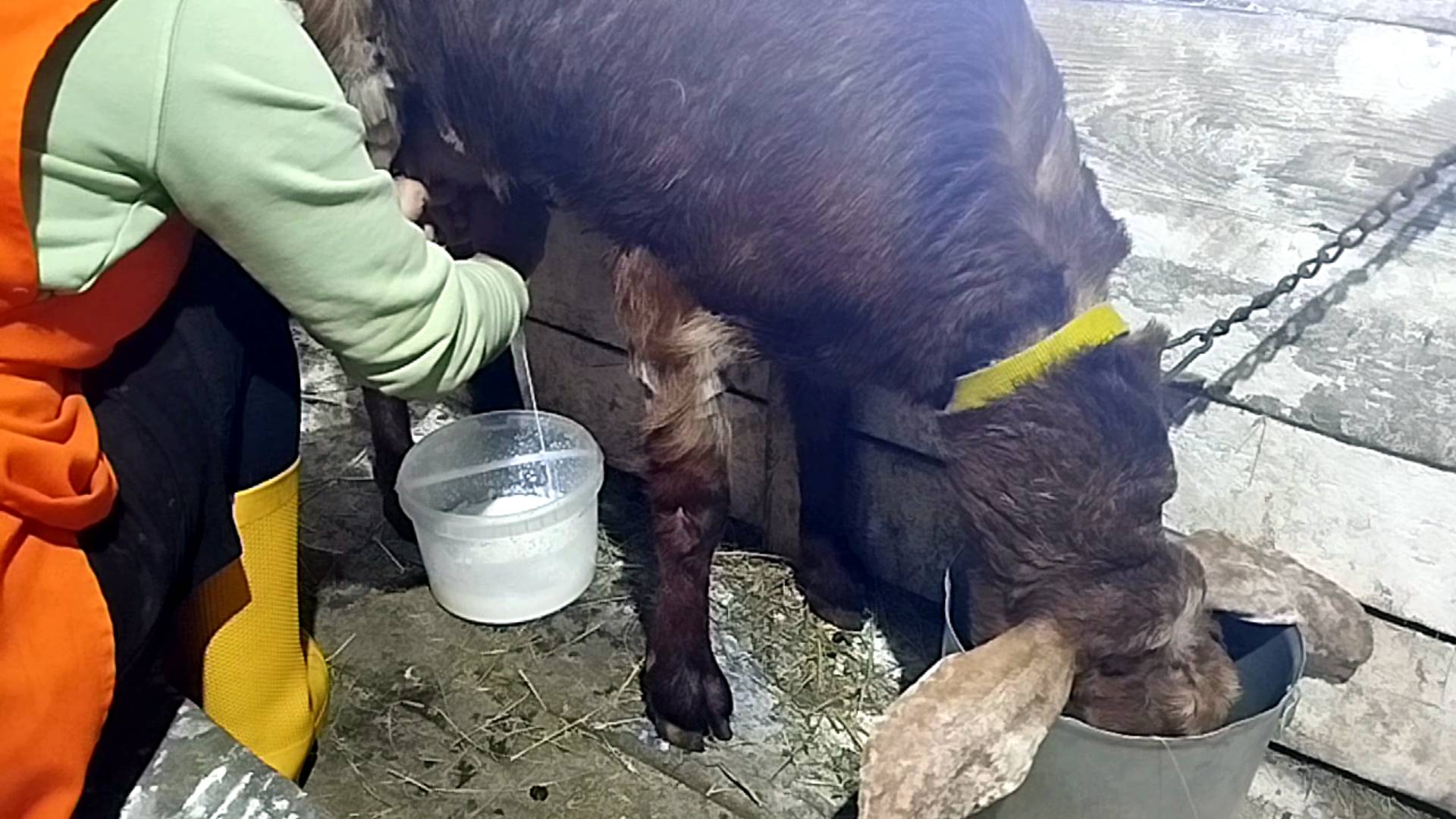 БУДНИ НА УСАДЬБЕ смотреть онлайн