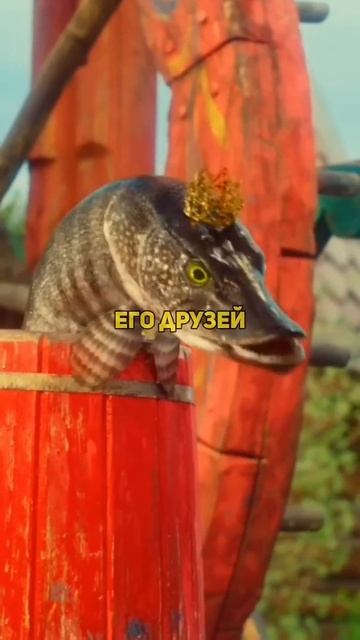 Слишком много хочет 🤣 смотреть онлайн