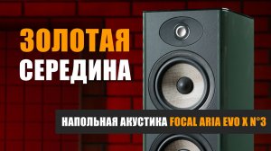 Золотая середина. Обзор напольной акустики Focal Aria Evo X №3