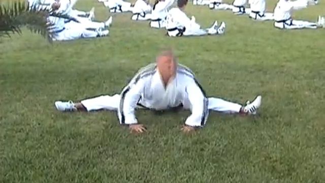 Taekwon-do ITF Master Vasilis Alexandris Stretching Exercises смотреть онлайн