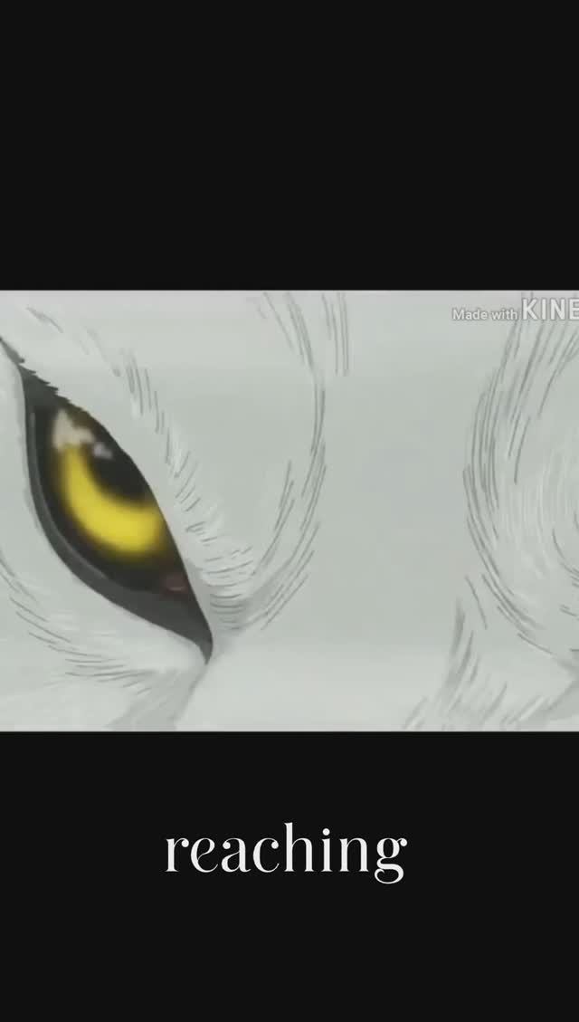 Legends never die | Wolf's rain #shorts #amv #edit