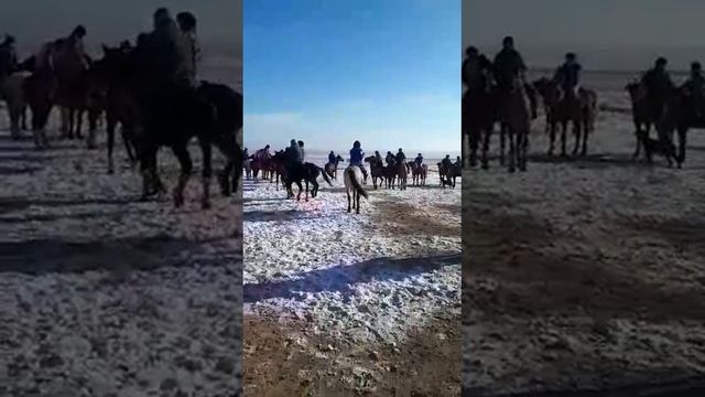 Кокпар Чёрный Дельфин смотреть онлайн