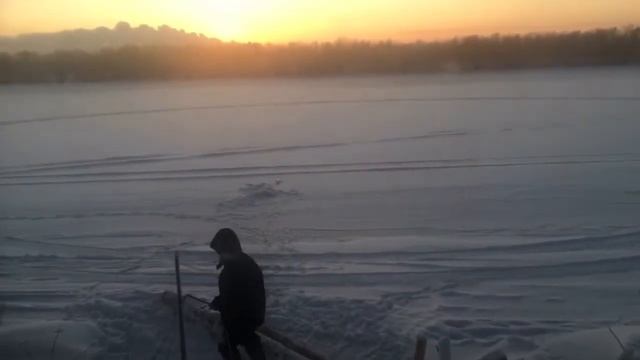 Пора домой