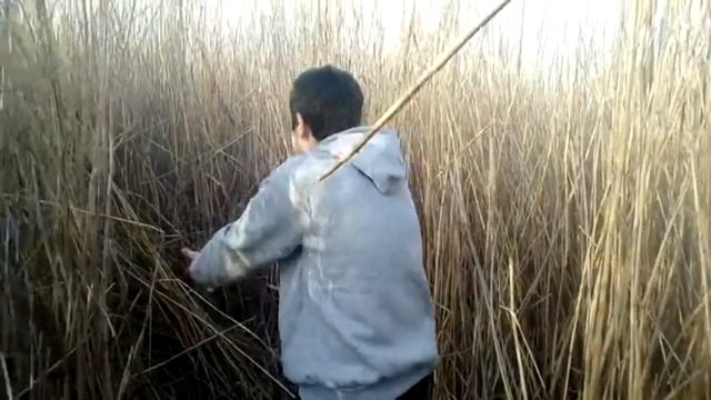 ГНУ#5 смотреть онлайн