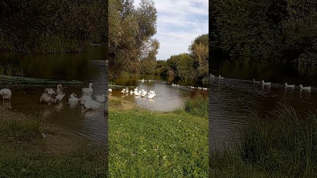Красная гора. Брянская область Лето заканчивается 31 августа 2023 г. смотреть онлайн