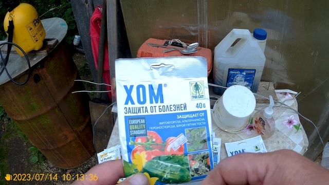 ГОСПОЖА ФИТОФТОРА-КАК ПОБЕДИТЬ.. смотреть онлайн