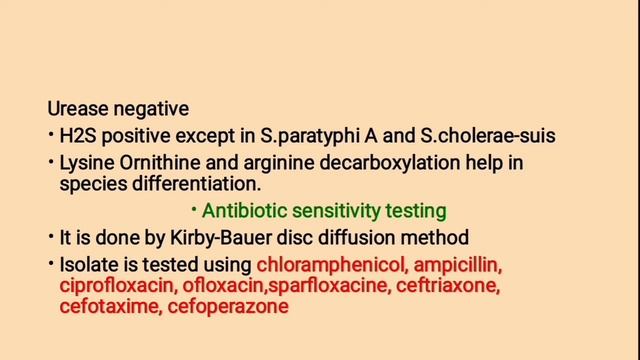 Salmonella typhi, Part 2 смотреть онлайн