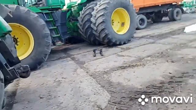 Прогулки по територии .😏 смотреть онлайн