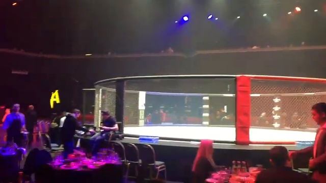 Russian MMA Awards, 28 декабря 2019г, Adrenaline Stadium - StarScreens.ru смотреть онлайн