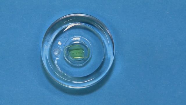 Hoya Vivinex Surgical Video смотреть онлайн