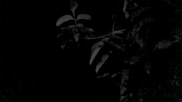 Самара без звонка смотреть онлайн