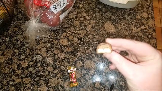 Left Twix VS Right Twix | Domestic Ginger смотреть онлайн