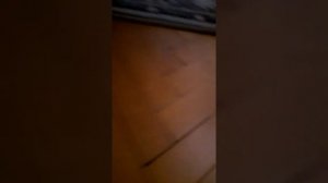 Нубик Аня какает в роблоксе