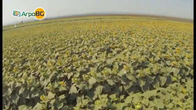 Нови, пролетни решения от Лимагрейн смотреть онлайн