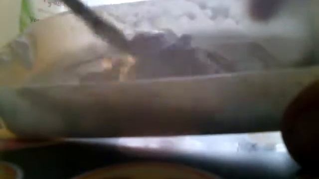 Лизун 1 часть жди продолжения!