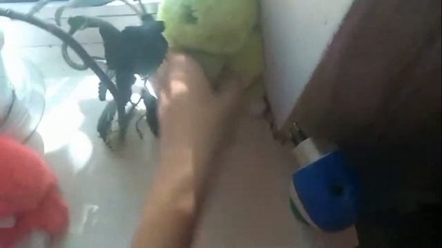 1 серия!!! Новые кролики. смотреть онлайн