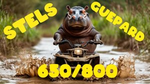 Отзыв владельца квадроцикла Stels Guepard 650/800 (Стелс Гепард)