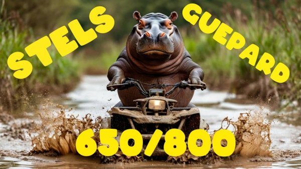 Отзыв владельца квадроцикла Stels Guepard 650/800 (Стелс Гепард)