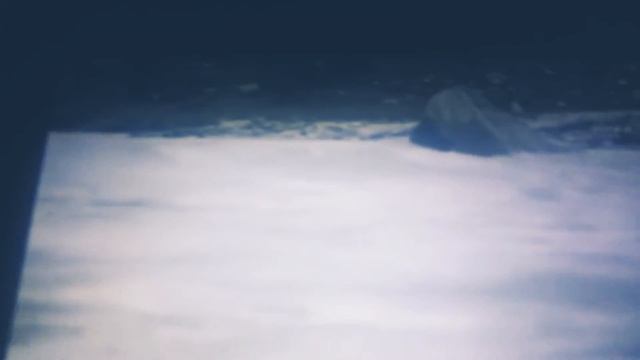 Пума напала на медвежонка мама медведиха спасла медвежонка смотреть онлайн