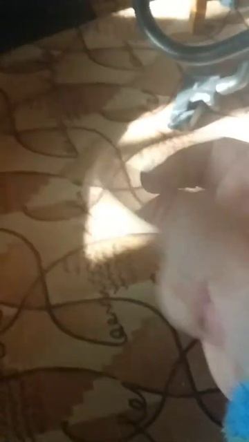 Как щёлкать пальцами смотреть онлайн