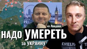 Украинский фронт - Зеленский ненавидит. Залужный нужно умереть за Украину. 15.04.25