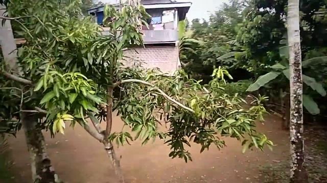 PERJALANAN KE TOGORA DESA PALANGISENG смотреть онлайн