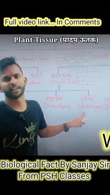 ॥Biological Fact By Sanjay Sir From PSH Classes॥ #Shorts #BioShorts смотреть онлайн