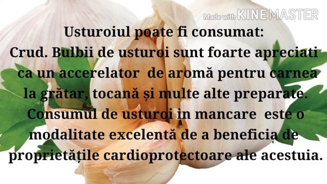 Beneficiile usturoiului смотреть онлайн