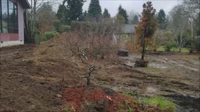 Grading it out - Amazing Maples Jan 2018 смотреть онлайн