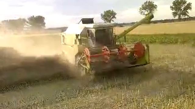 Claas Dominator 96 "akcja raps" смотреть онлайн