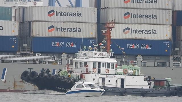 Two Tugboats Turn Back Container Ship Wan Hai 178 Leaving Port | Shipspotting 4K смотреть онлайн