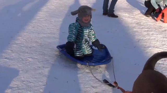 Соревнования "Nordogs Star 2013" смотреть онлайн