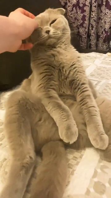 Элька Карамелька смотреть онлайн