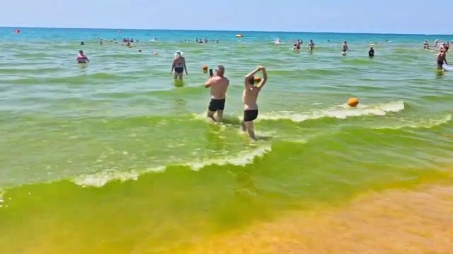 Море цветёт #анапа #море #2024 смотреть онлайн