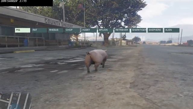 GTA 5 PUMA OLUP İNSANLARI YEDİM !! (GTA5 TRAİNER) смотреть онлайн