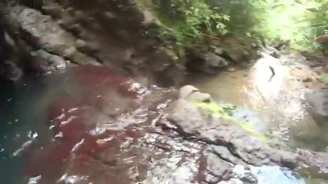 banana Lama waterfall смотреть онлайн