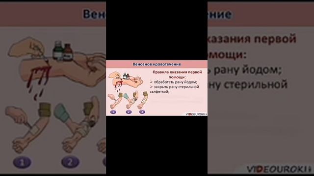 Жедел медициналық жәрдем станциясы пәні бойынша касіптік тажірибе смотреть онлайн