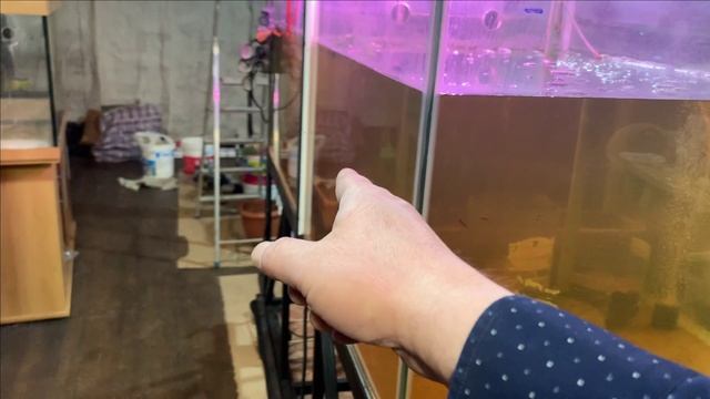 Пруд в гараже.Подключили песчаный фильтр.Ну и много интересного. смотреть онлайн