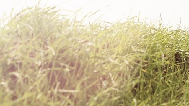 5. Девушка в платье смотреть онлайн