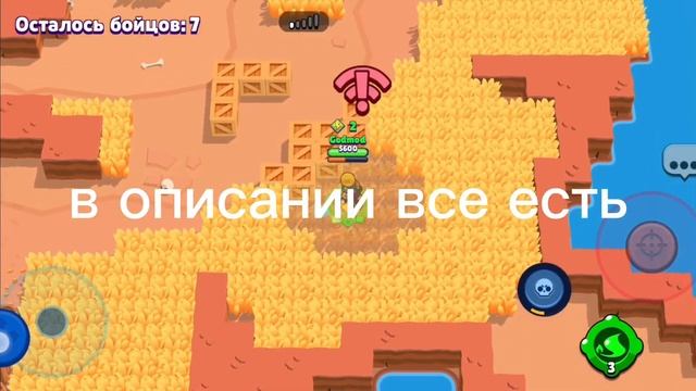 Мой пак ютубера|Панда смотреть онлайн