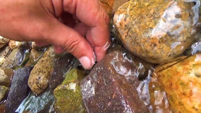 Держу в руке 50 сом смотреть онлайн