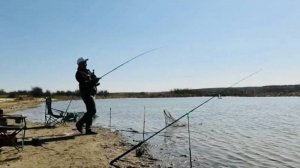 ЛЮТЫЙ ЖОР на ДОНКИ! Просто НА ЧЕРВЯ. Рыбалка на донки