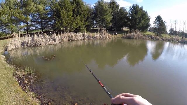 Fishing for AGGRESSIVE Winter Bass смотреть онлайн